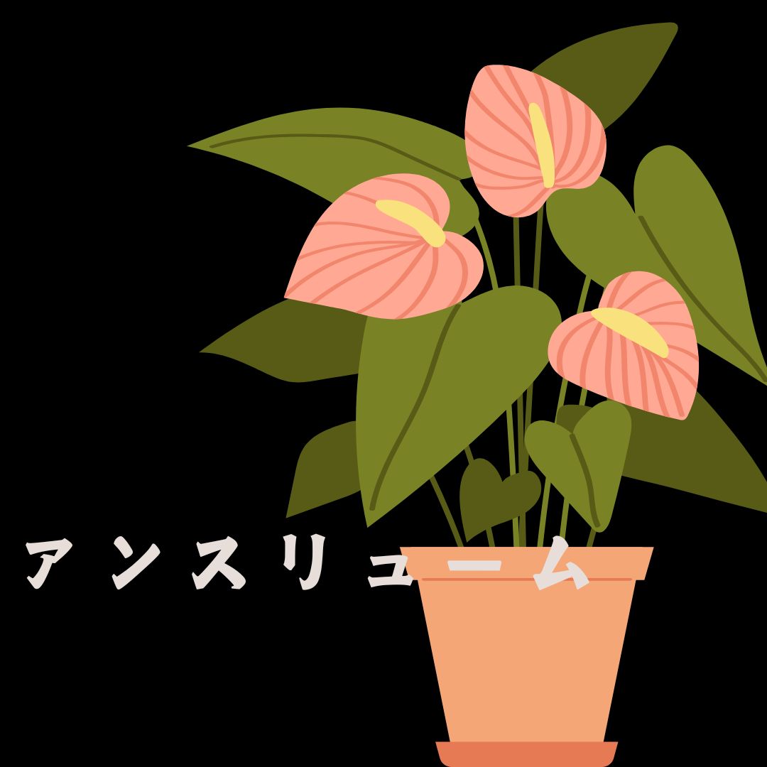 上質な観葉植物「観葉植物 アンスリューム」。開店・開業祝い・法人のお祝いなど幅広いギフトシーンにおすすめです。